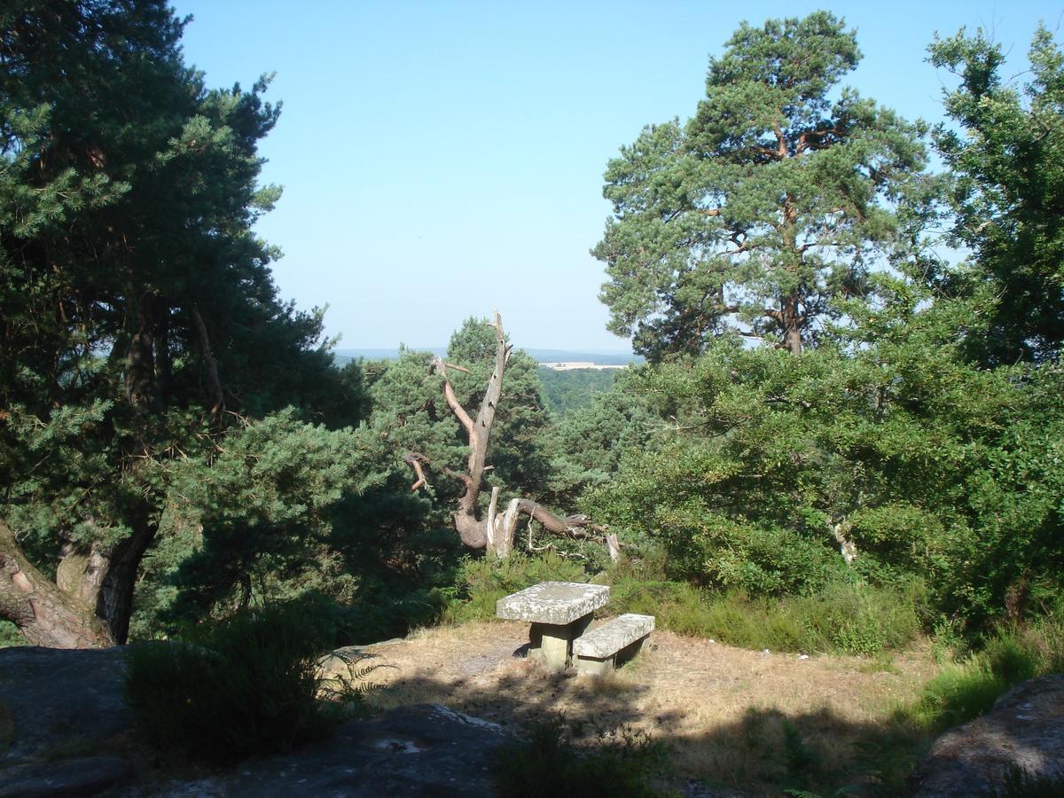 普雷米塞斯弗雷特住宿加早餐旅馆 Chailly-en-Biere 外观 照片